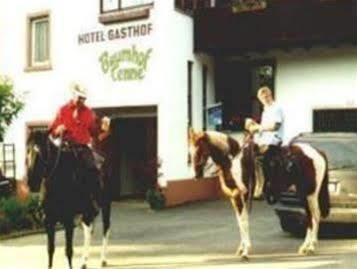 Hotel- Landgasthof Baumhof-Tenne Marktheidenfeld Bagian luar foto